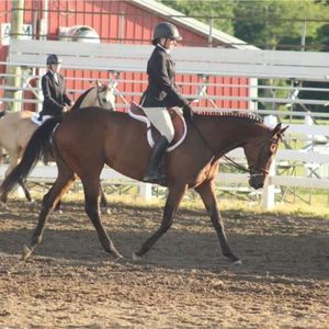 Meet your Posher, Jamie